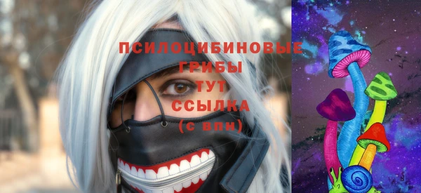 сатива Алексеевка
